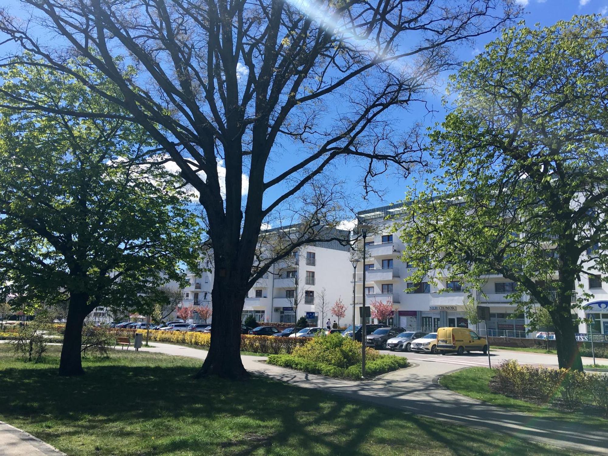 Apartamenty Platan - Visitopl Świnoujście Eksteriør bilde